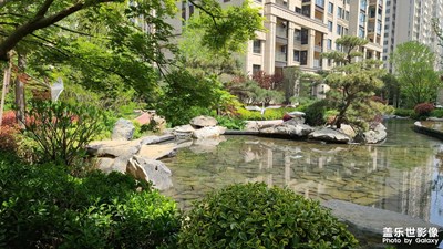 【春日幸事】小區(qū)里的春天