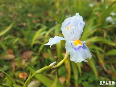 【春日幸事】+春暖花開