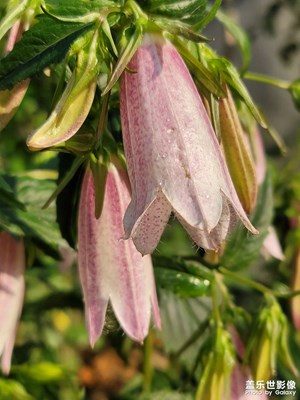 花花??花花花花花花