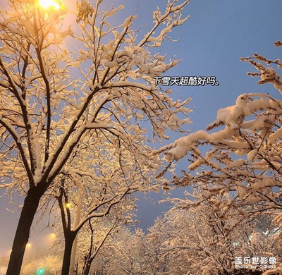 ????
?雪｜散落在人間的溫柔
?