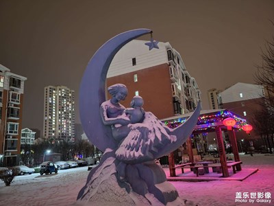 【夜城春】+從春雪到春花