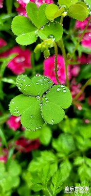 春雨過后。。。