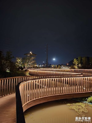 【夜城春】+濕地公園