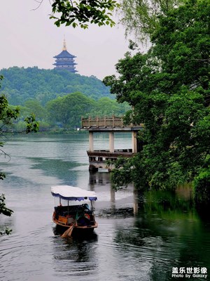 春?太子灣×花港觀魚×in77