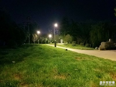 【夜城春】街邊公園