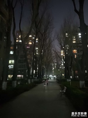 【夜城春】+小區(qū)散步