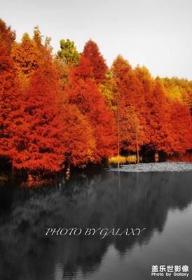 日常隨拍+我和我的galaxy