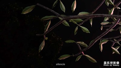 【日常隨拍】物色