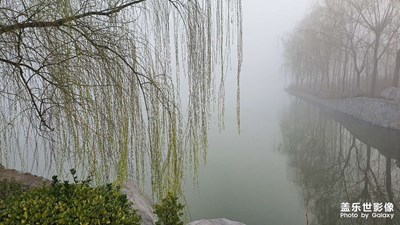 濟(jì)河煙柳