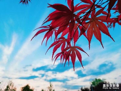 天空藍(lán)，映天之紅
