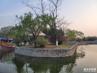 【夜城春】滿園春色