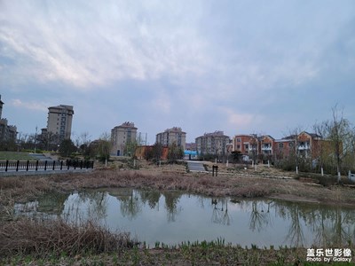 【夜春城】春夜游園