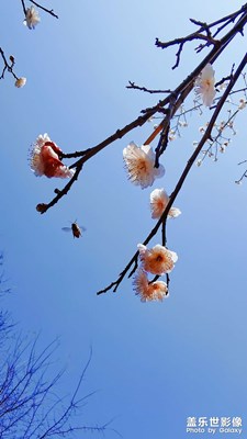 【我的五一】+隨拍