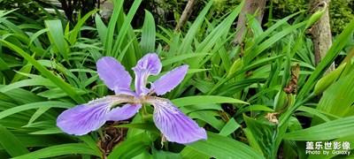 【我的五一】＋小區(qū)一日游