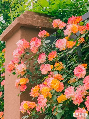 【五一生活隨手拍】