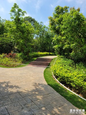 五一公園游記（二）