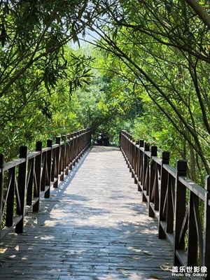 貢湖灣濕地公園度假