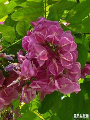 【我的五一】晨起鍛煉