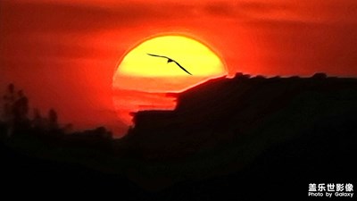 【夜城春】+夕陽(yáng)下