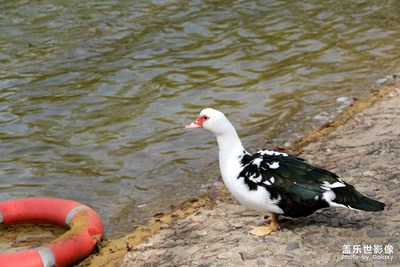 【五一生活隨手拍】立夏