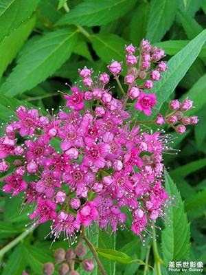 【時光正好】生活隨拍