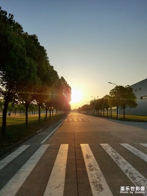 三星A90拍攝早晨的陽光大道