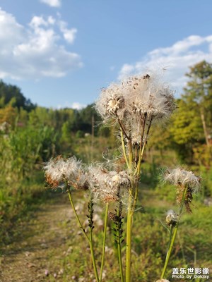 錯過了某個人 ，總會覺得心痛和遺憾，但如果真的在一起了，