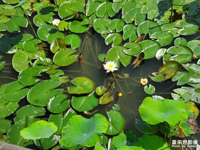 【時光正好】+生機盎然