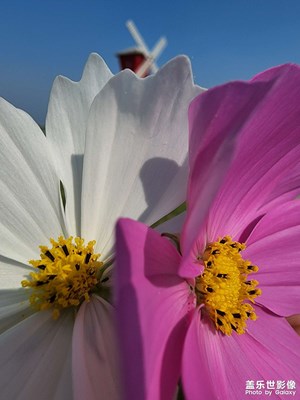 五一生活隨手拍