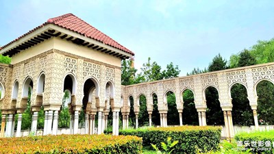 【時(shí)光正好】+各有千秋