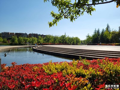 【生活的地方】+公園