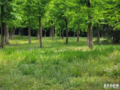 【生活的地方】+曲徑通幽處
