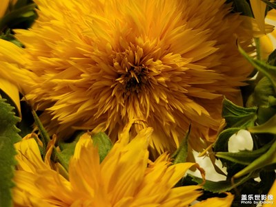 生活隨手拍 note20u