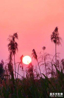 【你好夏天】+再見夕陽