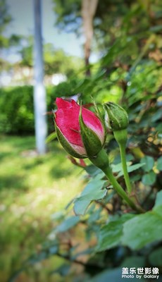 雨后天晴的清晨