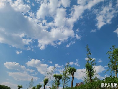 疫情期的天空真藍(lán)呀