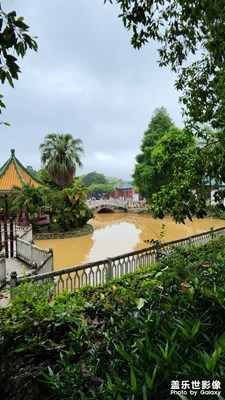夏日風(fēng)雨后