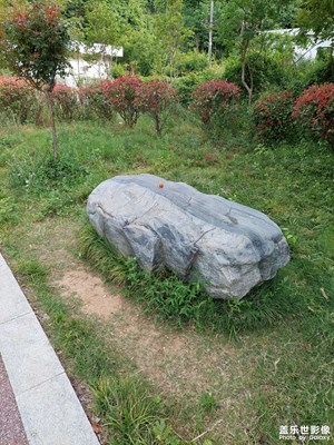 【鄉(xiāng)城美景】花紋石