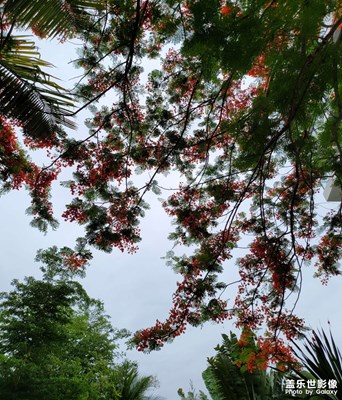 無太陽無雨爽天氣