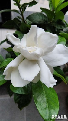 【碎片日?！?多彩生活