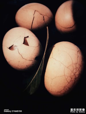 星攝－醉生夢死