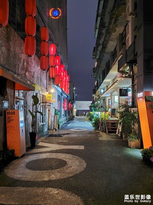 市井生活in鵝嶺二廠with zflip