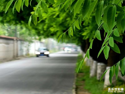 【碎片日常】晨路記憶