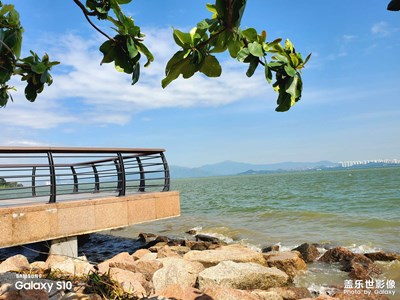 美麗奇遇記之深圳戀歌