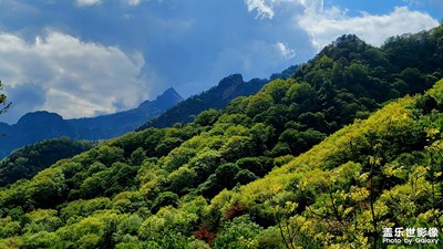 【碎片日?！?隨走隨拍