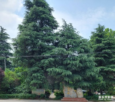 【城鄉(xiāng)美景】鄉(xiāng)村氣息