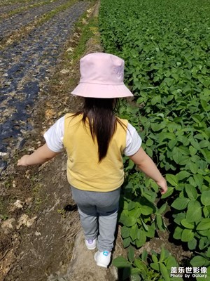 【碎片日?！?和小乖乖的多彩生活