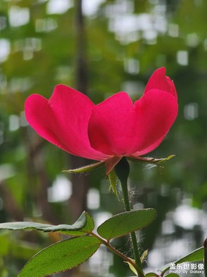 各個角度都好看