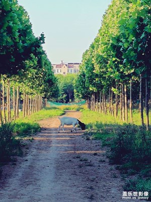 【當(dāng)下好時(shí)光】+綠（1）