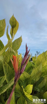 【把生活拍成電影】+當(dāng)下好時光，漫步時刻